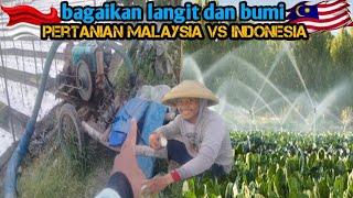 perbedaan cara pertanian di Indonesia vs Malaysia⁉️