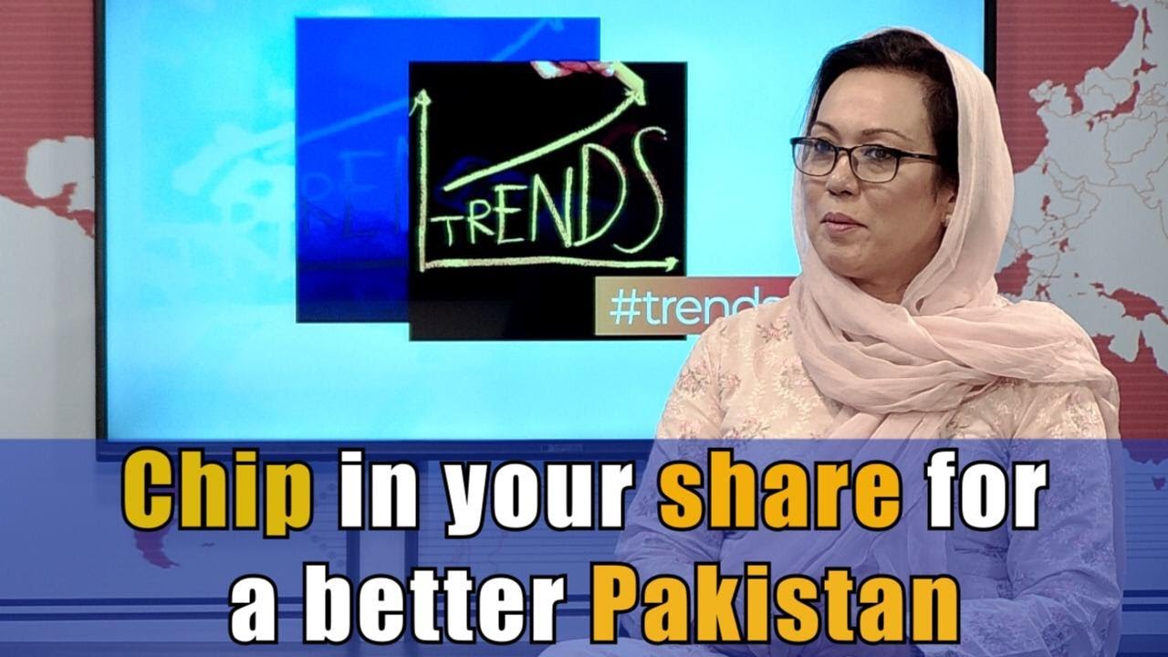 Chip in your share for a better Pakistan. Rubeena Amer mp4 - YouTube