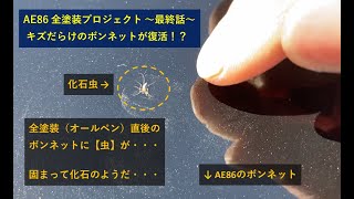 全塗装の直後に入り込んだ【虫】・・・クリアが固まって化石化！？【AE86 全塗装プロジェクト vol. 19】 ボンネットを研磨して化石虫の退治とキズ消し作業に挑みます！ 最終的な仕上がりも公開！！