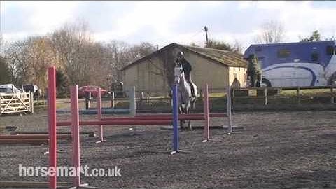 How & Why to use a bounce grid in training for show jumping