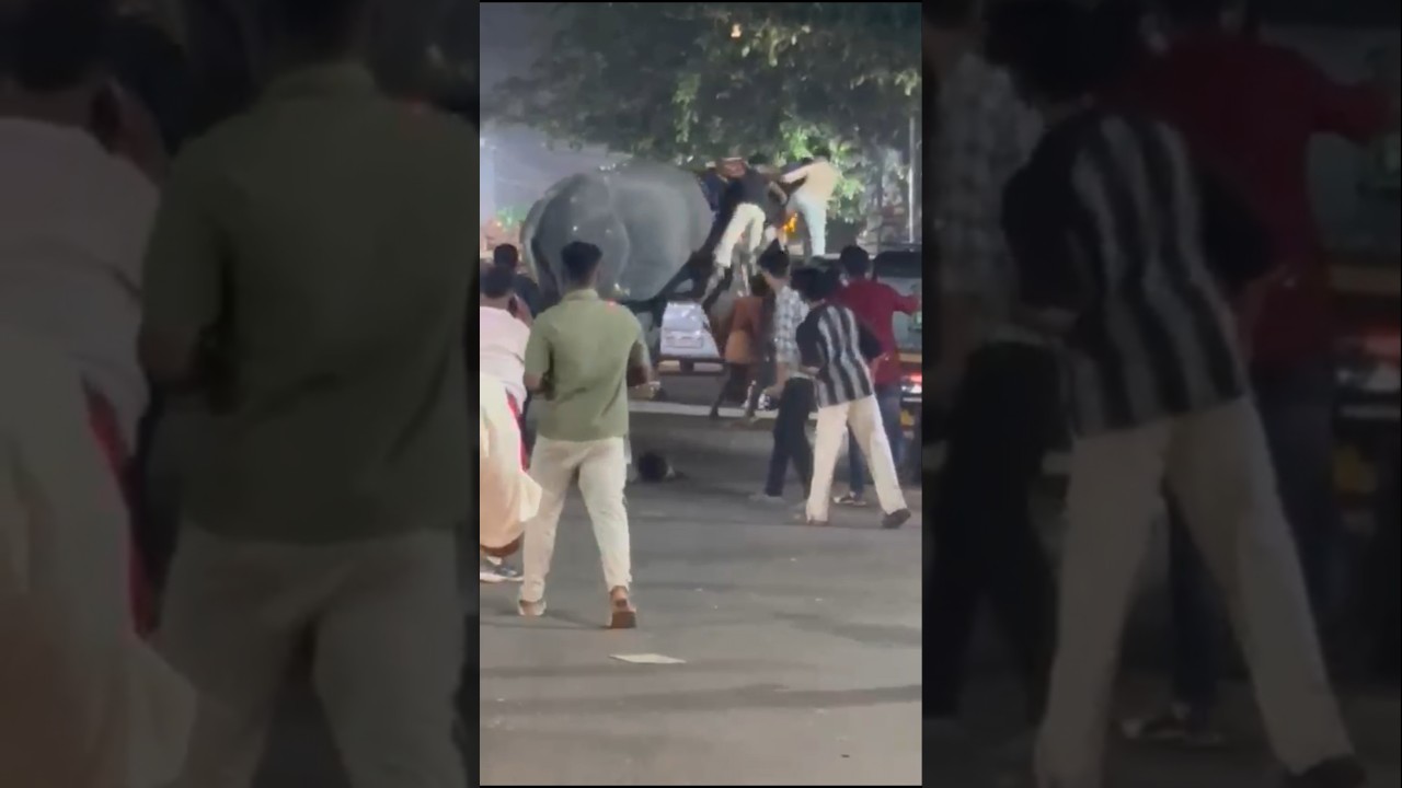 കൂറ്റനാട് നേർച്ചക്കിടെ ആന ഇടഞ്ഞപ്പോൾ | Koottanad nercha festival Kerala 2025 