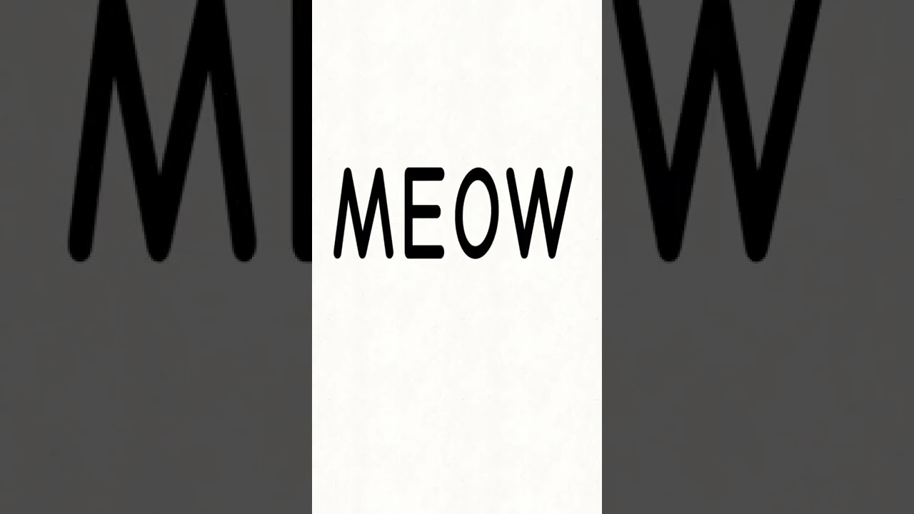 Meow #shorts
