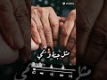 تبقى أ مي الم ستحقه حق ا بأن تكون سيدة قلبي وحبيبته امي