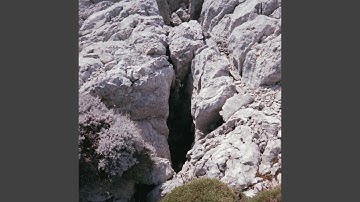 We are fluid (feat. L. Camus-Govoroff)