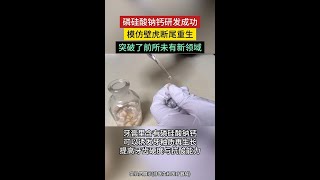 北京博士大叔潜心研究十余年，磷硅酸钙钠材料取得重大突破