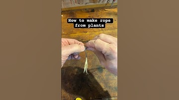 Make rope from plants #survivalskills #ancestralskills #wildernesssurvival