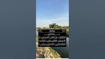 #سورة_التكاثر#المنشاوي_حالات_واتس #الرياض#المنشاوي