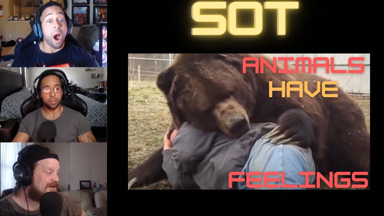 Staying Off Topic | Animals Reunited With Their Owners After Years! | #reaction #sot #animals