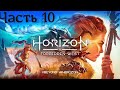 Horizon 2: Forbidden West (PS4) / Запретный Запад ◉ Прохождение #10 Котел номер 2