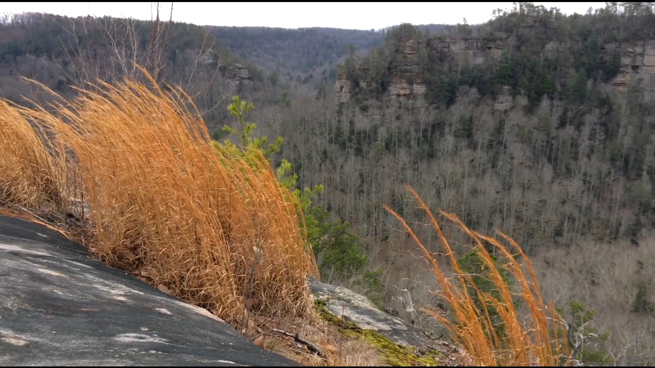Hidden Trails of Red River Gorge: The Daniel Boone Byway to Auxier Ridge via Martin's Fork