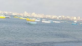 بث الاسكندريه