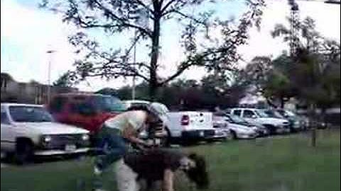 Group 3 ENDS 101 Creativity video