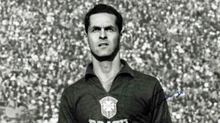 Gylmar dos Santos Neves, Gilmar [Best Saves]