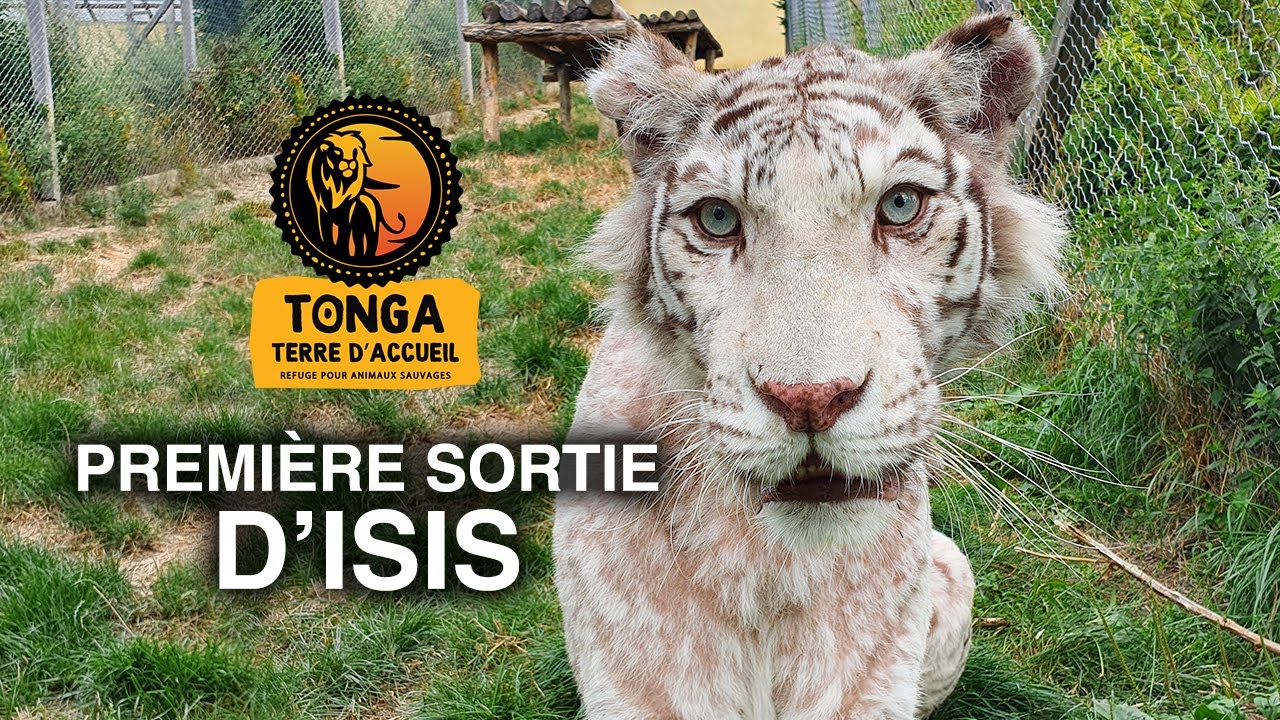 Première sortie d'Isis