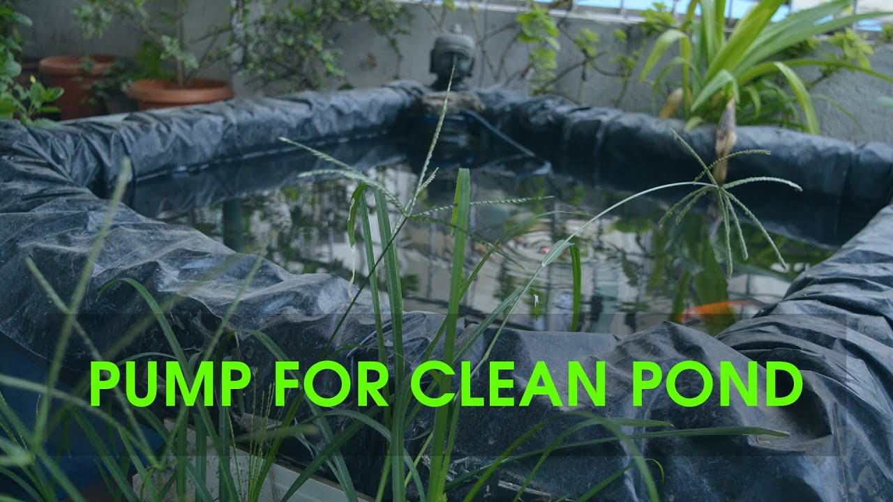 Submersible Pump to clean a Fish Pond YouTube