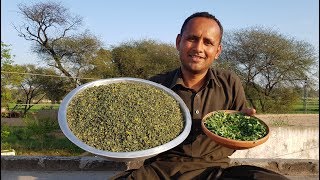 How to Make Dry Kasoori Methi at Home | Grandma Style | Village Style | Village Food Secrets