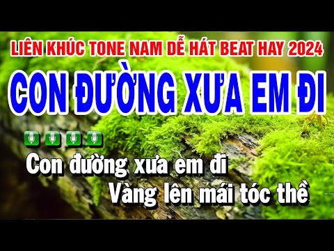 Liên Khúc Karaoke Nhạc Sống Trữ Tình Tone Nam | Con Đường Xưa Em Đi 2023 mới nhất