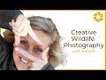 Wildlife Photography Tips And Techniques   Creative Captures with Sabine Stols