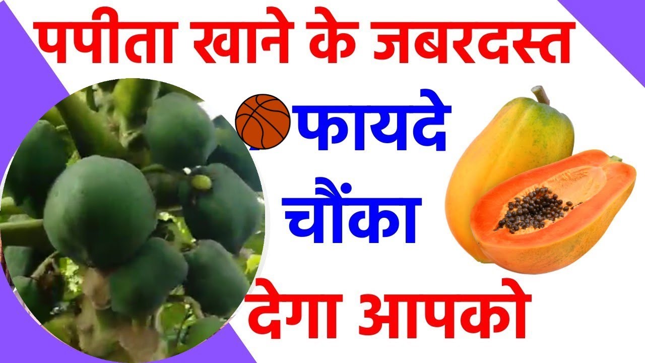 Benefits of Papaya Papita Khane Ke Fayde पपीता खाने के फायदे पपीता के फायदे हिंदी YouTube