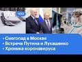 Снегопад в Москве: последствия. Встреча Лукашенко и Путина. Коронавирус: хроника пандемии ЧЭЗ Next