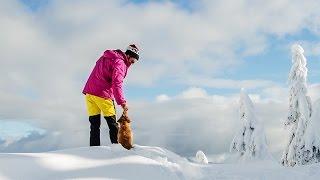 Nova Scotia Duck Tolling Retriever Puppy Playing In The Snow, Alfie's Paradise by Alfie Toller 17,377 views 8 years ago 6 minutes, 33 seconds