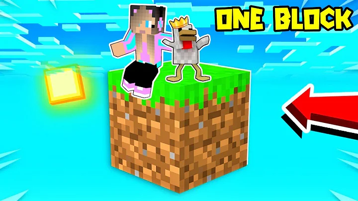 100   ONE BLOCK  MINECRAFT