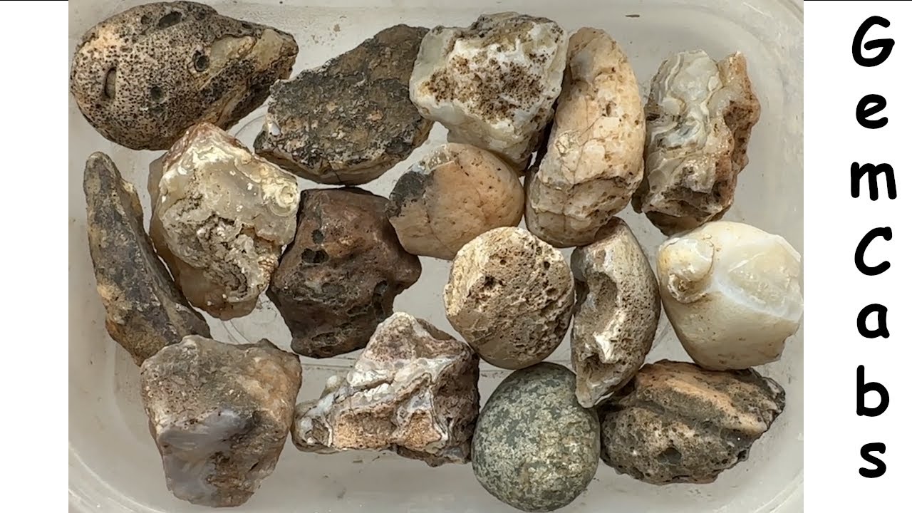 Group of Miscellaneous Arizona Rocks Cut Open to Reveal What is Hiding ...
