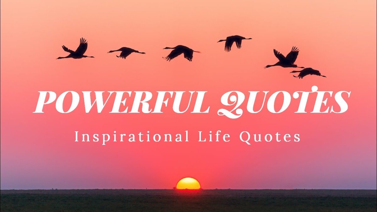 Inspirational Life Quotes - YouTube