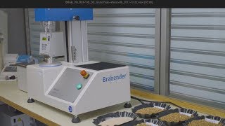 Case Study Wiesneth Mühle Schnellmethode Glutopeak