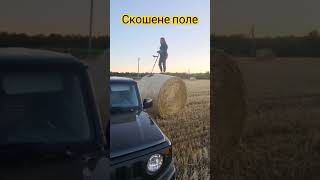 Скошені поля