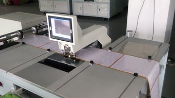 Automatic FPC / PVC Roll to Roll Guide Hole Punching Machine