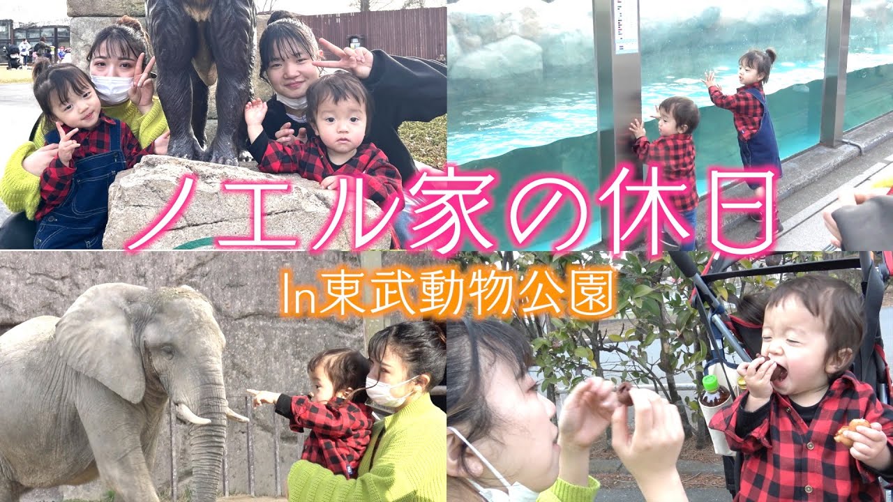 【日常風景】長女ノエルの休日に密着！動物園でちびーず大興奮！