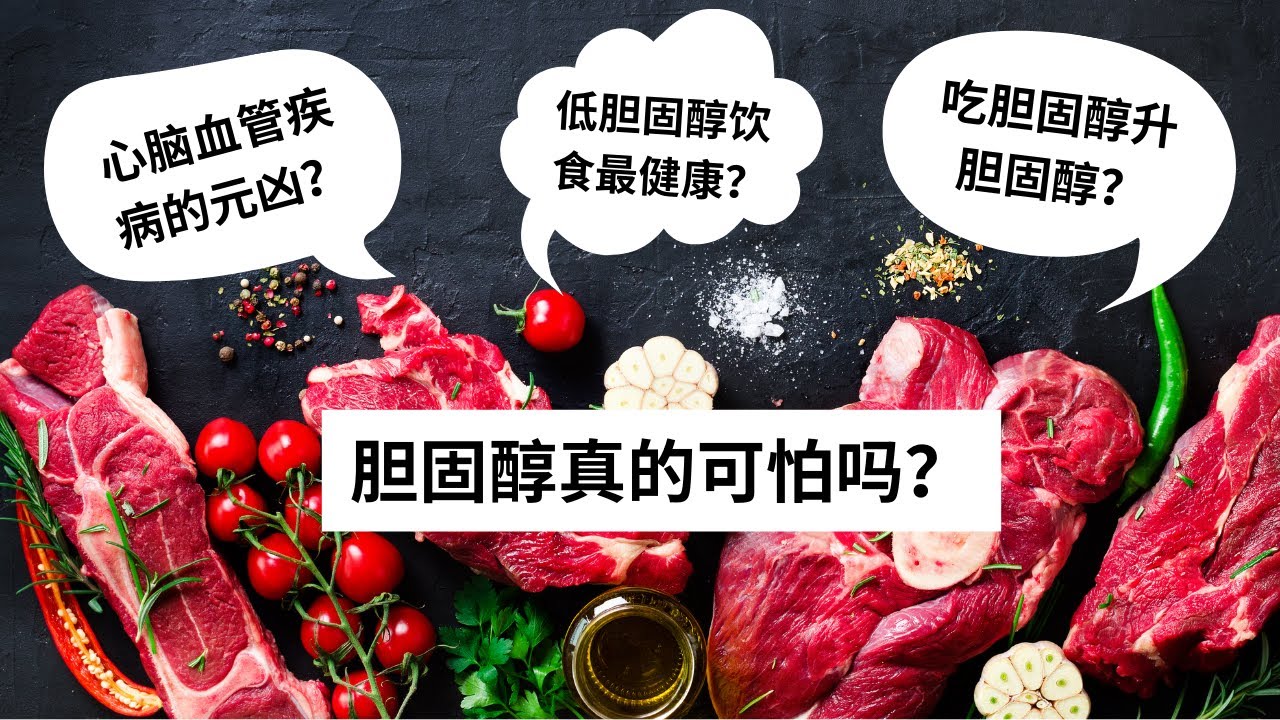 Ep 16 胆固醇真的可怕吗？｜造成心脑血管疾病的元凶是什么？｜吃胆固醇就升胆固醇吗？｜低脂饮食真的健康吗？｜胰岛素抵抗｜血脂｜血糖