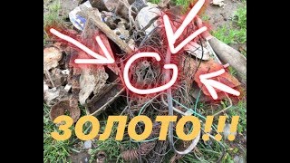 Вот это повезло! Нашёл золото!!! Медь пошла пачками!!! Коп металла с металлоискателем