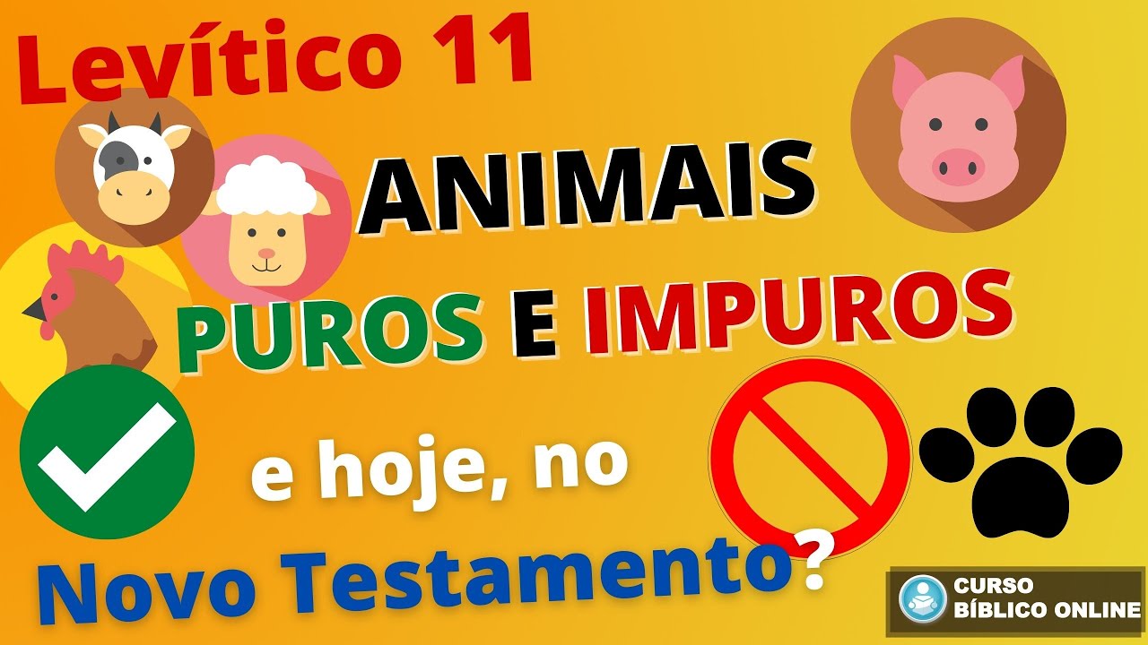 Levítico 11 Animais Puros e Impuros YouTube Levítico 11 Animais Puros e Impuros YouTube