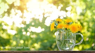 Morning Music, Soft Music, Awakening Zen Music after Deep Sleep, Positive Feelings and Energy screenshot 1