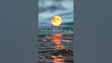 سورة يس من آية 55  إلى آية 60 بصوت الشيخ ياسر الدوسري♥♥