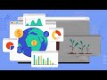 Global Food Crisis Finding Solutions with the Global Food and Nutrition Security Dashboard