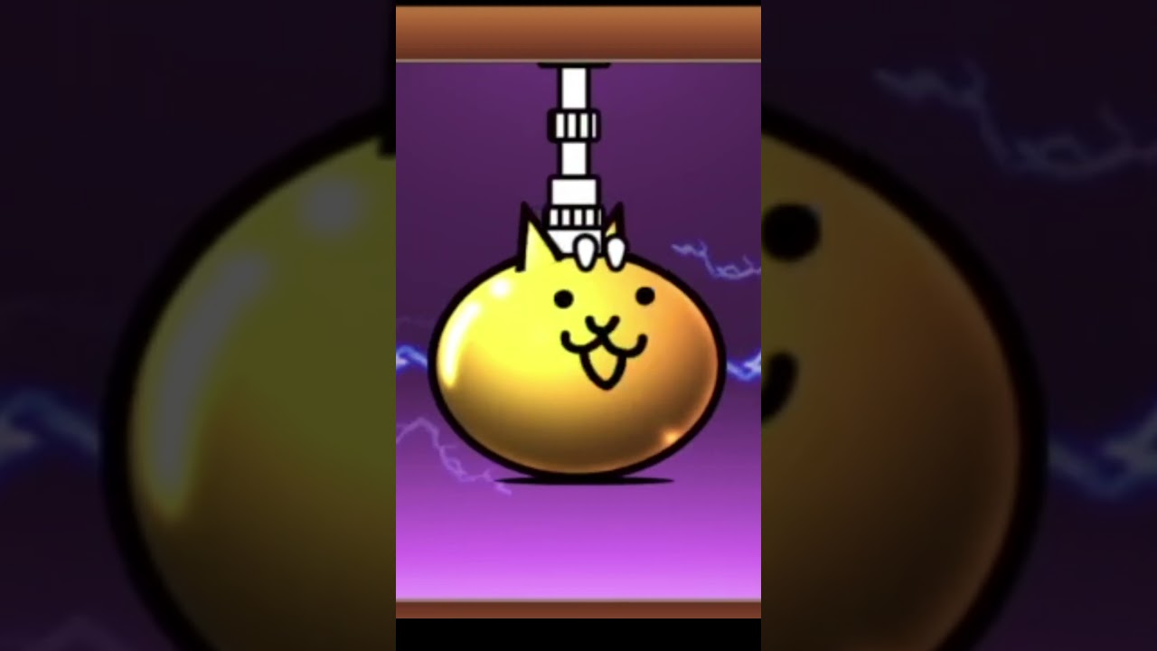 ponos thank you