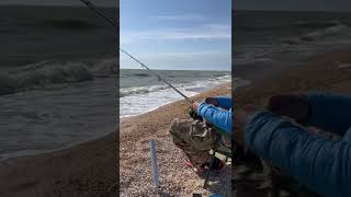 Рыбалка на Азовском море. Должанская коса