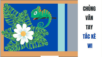 chủng vân  tay tắc kè WI