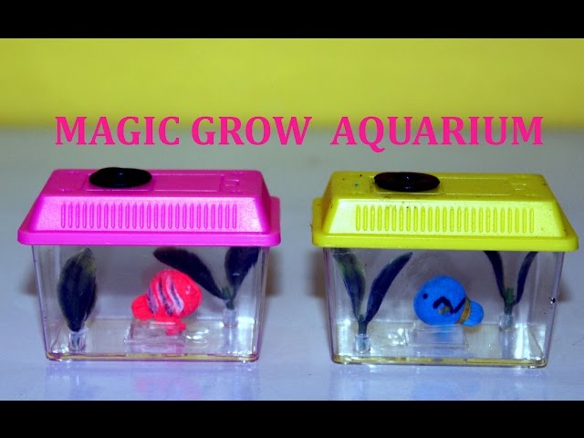 3 Growing Aquarium Toy for Kids - Set of 3 - Fish Grow 5X Bigger in W ·  Art Creativity