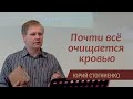 Почти всё очищается кровью | Жертва за грех