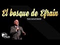 El bosque de Efrain - Pastor Samuel Valverde