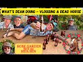 Deans  vlogging a dead horse  rose garden soi 88 hua hin thailand