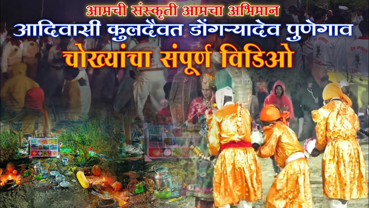 डोंगऱ्यादेव चोख्यांचा Live Video 🌾🏹🙏 आदिवासी कुलदैवत डोंगऱ्यादेव उत्सव पुणेगाव 🌾🏹🙏🌍