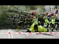 El temporal Ciarán deja una fallecida en Madrid tras caerle un árbol