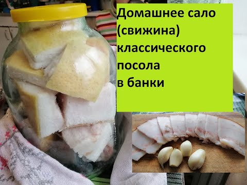 ЗАСОЛКА САЛА ПО-УКРАИНСКИ|Классический