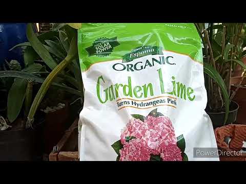 Garden Lime, why & how I use it... #orchids #gardening.