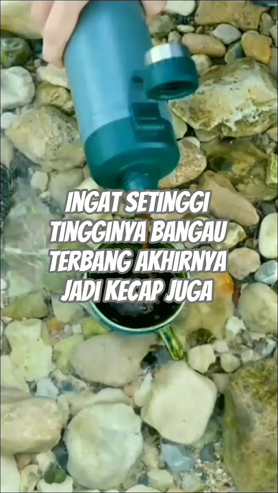 setinggi tingginya bangau terbang akhirnya jadi kecap juga #kecap #bangau #jangkauanluas   #motivasi